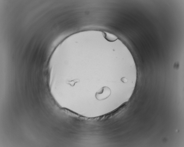 X0000113001102200910081152