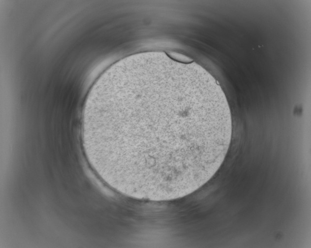 X0000113001103200910081152