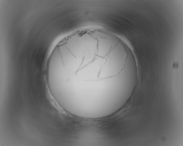 X0000113001104200910081152