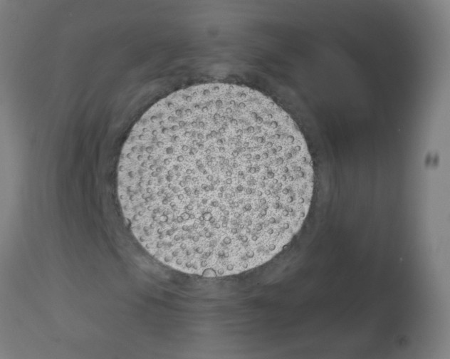 X0000113001105200910081151