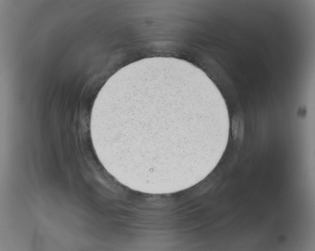 X0000113001107200910081151