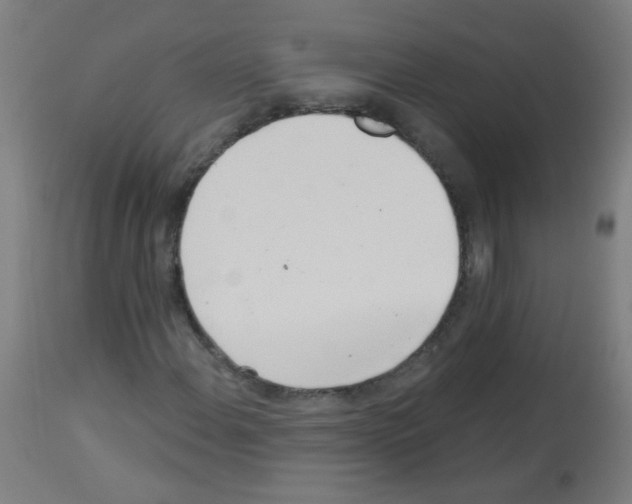 X0000113001108200910081151