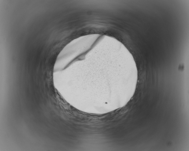 X0000113001109200910081151