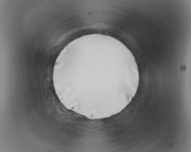 X0000113001110200910081151