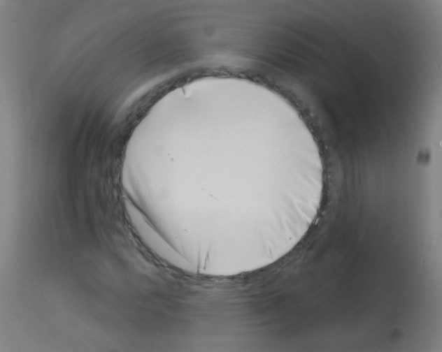 X0000113001112200910081151