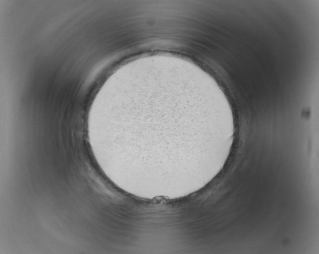 X0000113001115200910081151