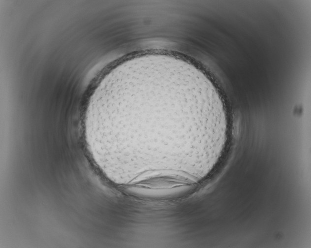 X0000113001117200910081151