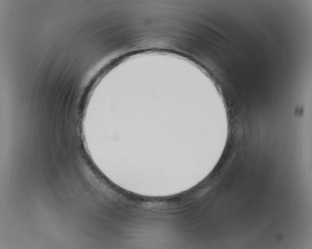 X0000113001118200910081151