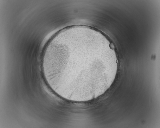 X0000113001120200910081151