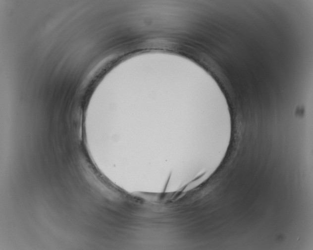 X0000113001123200910081151