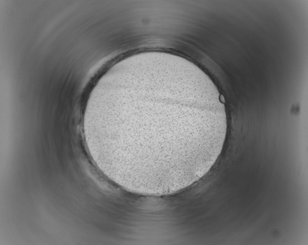 X0000113001124200910081151