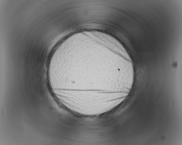 X0000113001125200910081151