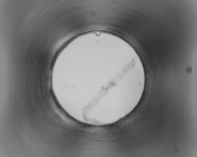 X0000113001127200910081151