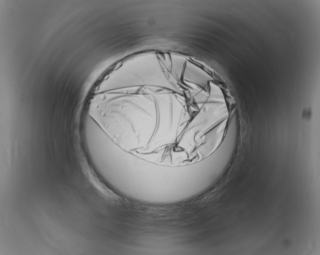 X0000113001128200910081151