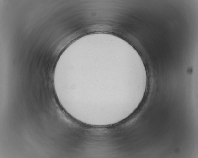 X0000113001129200910081151