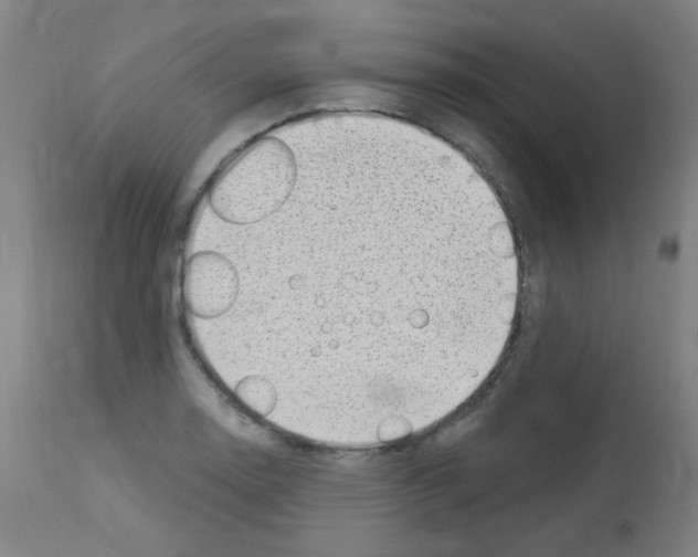 X0000113001130200910081151