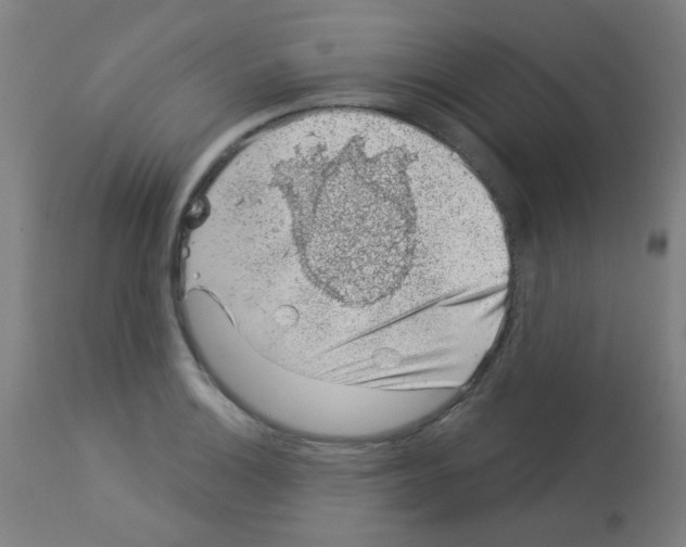 X0000113001132200910081151