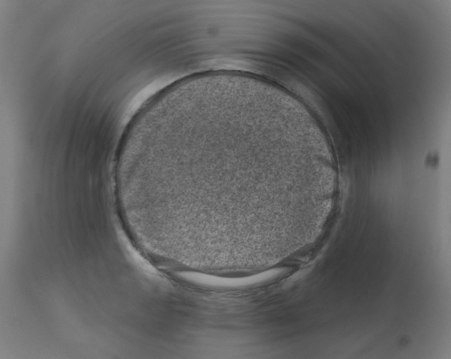 X0000113001133200910081151