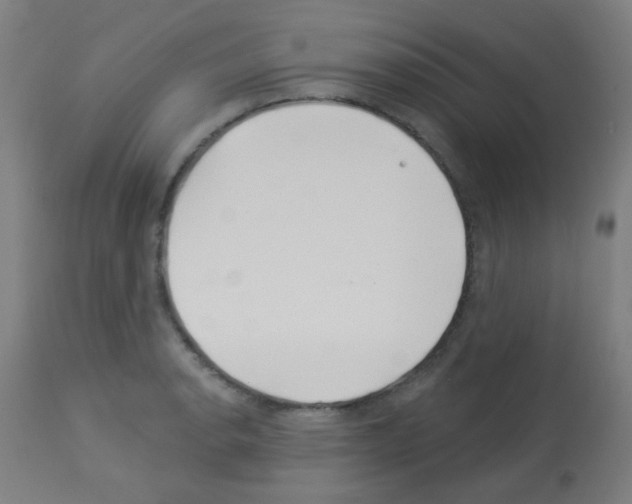 X0000113001134200910081151