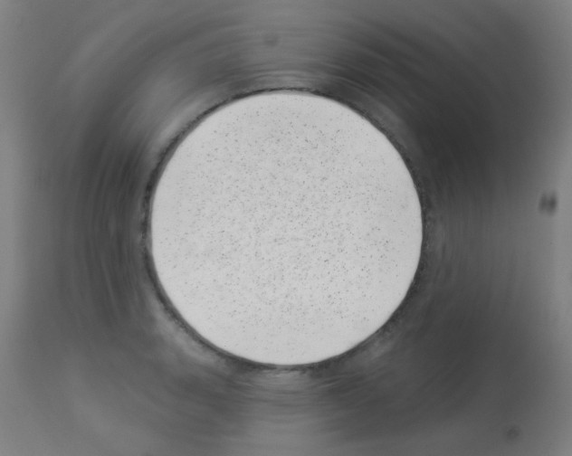 X0000113001135200910081152