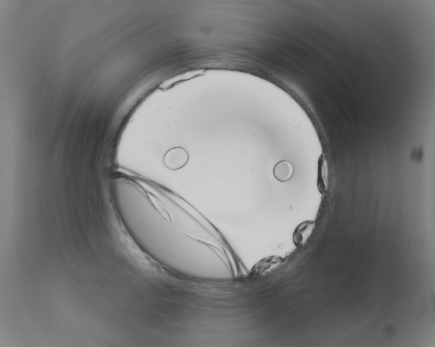 X0000113001138200910081152