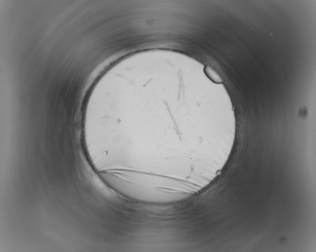 X0000113001140200910081152