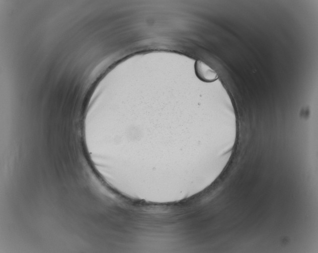 X0000113001141200910081152