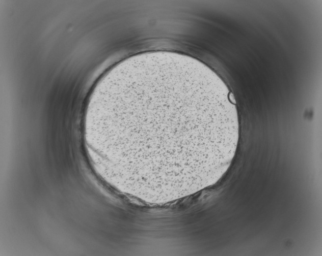 X0000113001142200910081152