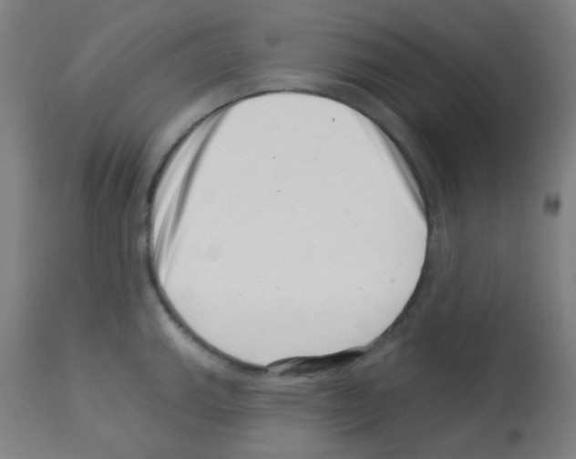 X0000113001143200910081152