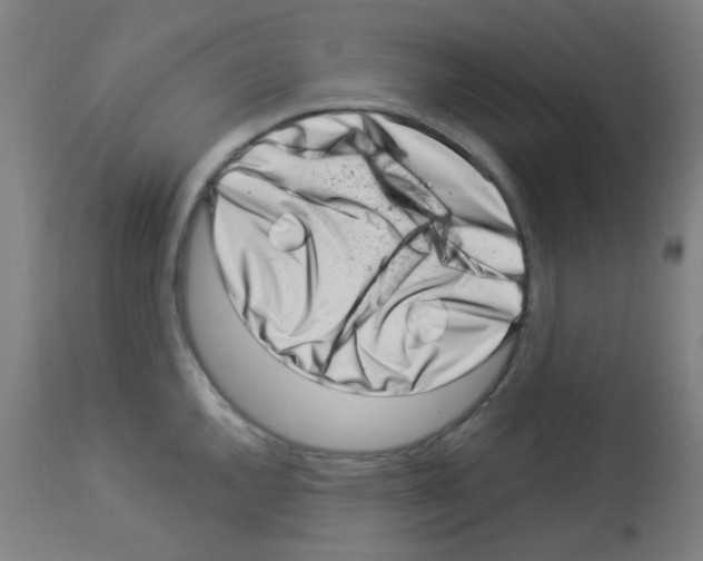 X0000113001144200910081152