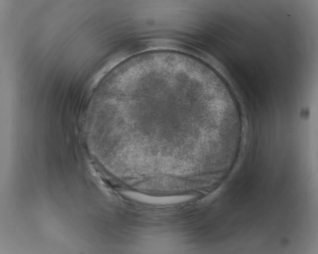 X0000113001145200910081152