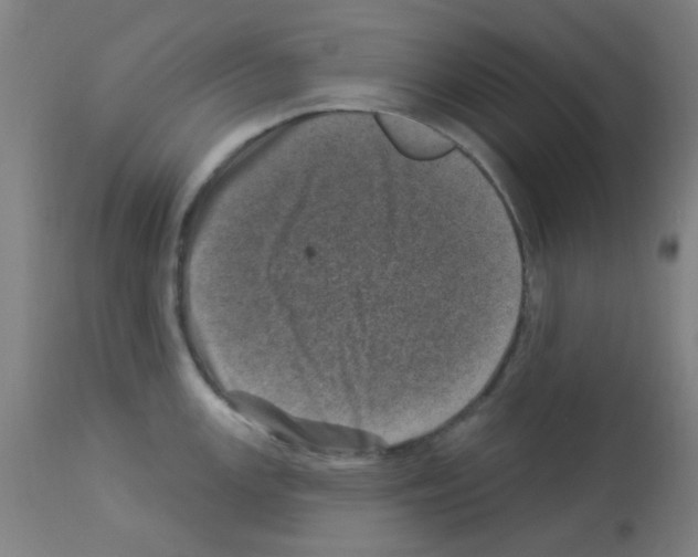 X0000113001147200910081152