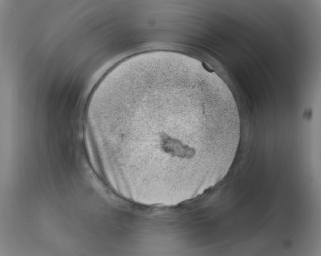 X0000113001148200910081152