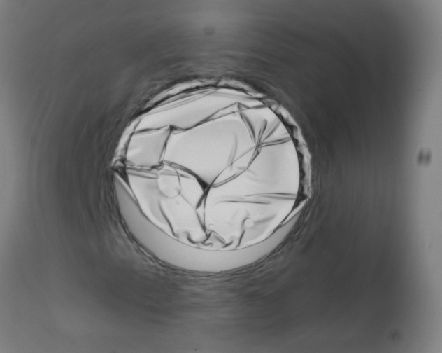 X0000113001153200910081151