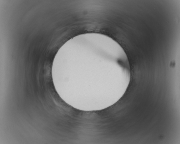 X0000113001154200910081151