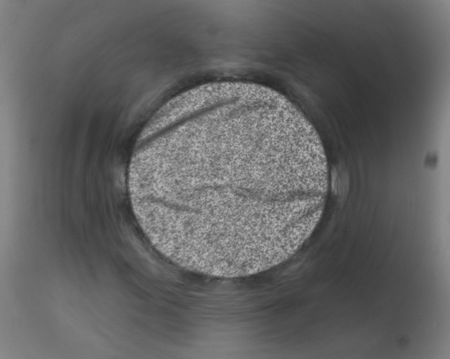 X0000113001155200910081151