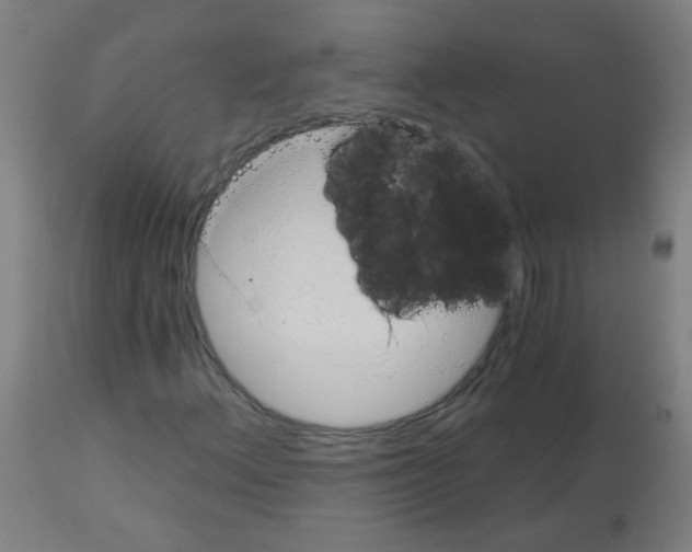 X0000113001156200910081151