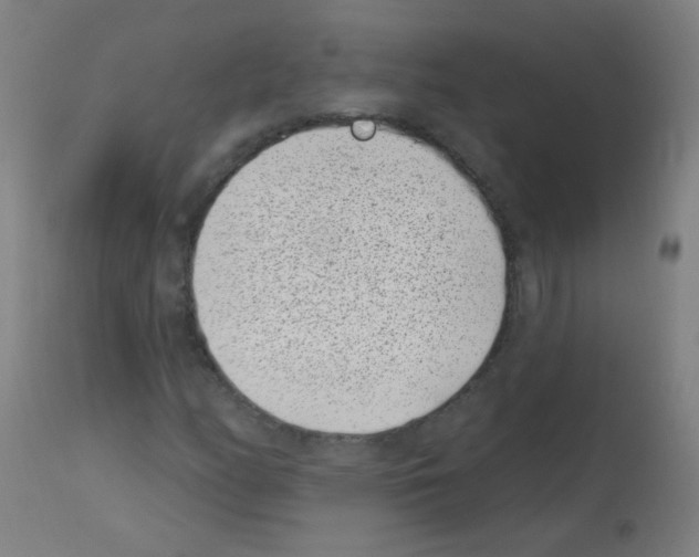 X0000113001158200910081151