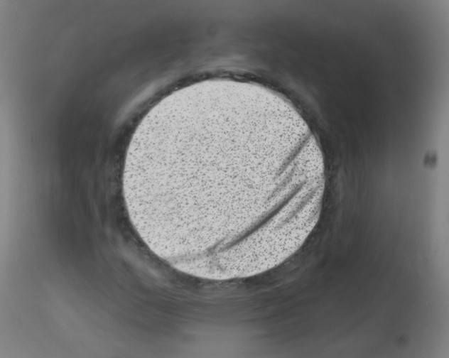 X0000113001159200910081151