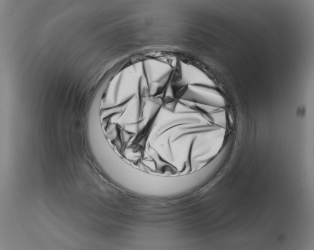 X0000113001161200910081151