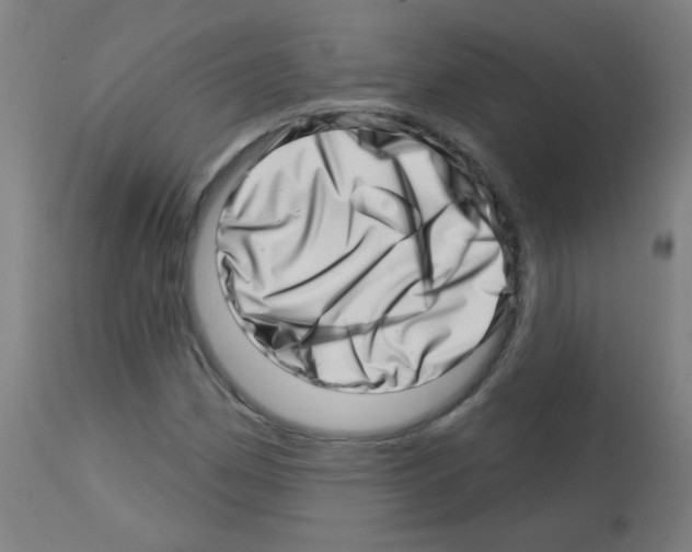 X0000113001162200910081151