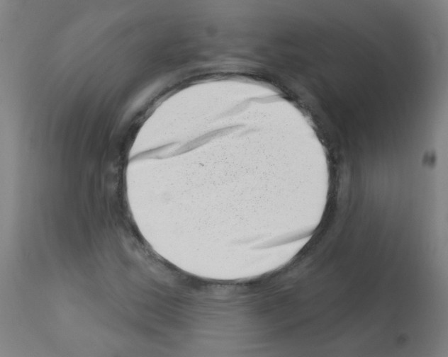 X0000113001163200910081151