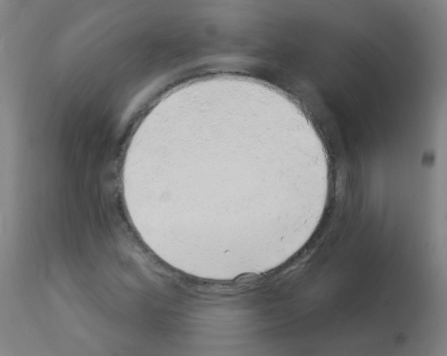 X0000113001164200910081151