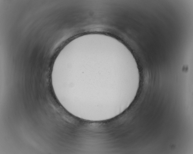 X0000113001166200910081151