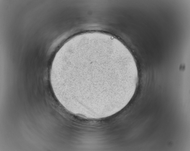 X0000113001167200910081151