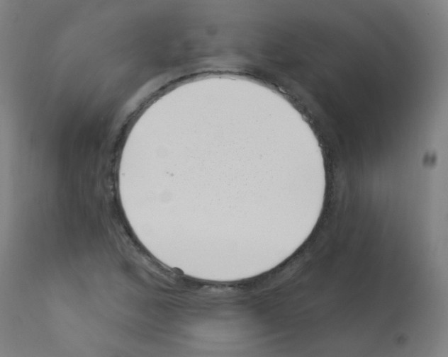 X0000113001168200910081151