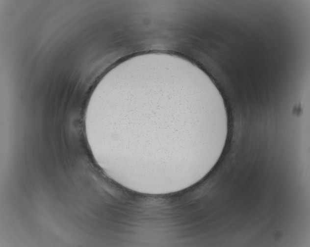 X0000113001170200910081151