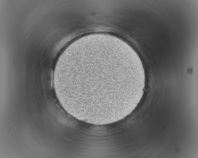 X0000113001171200910081151