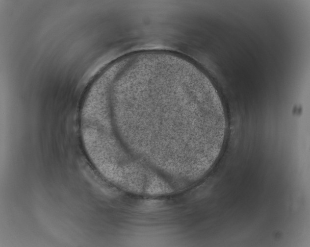 X0000113001173200910081151