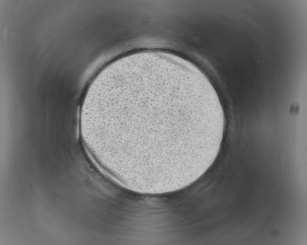 X0000113001175200910081151